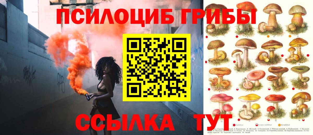 Елабуга  Псилоцибиновые грибы Magic Shrooms  закладка  Вход с VPN 